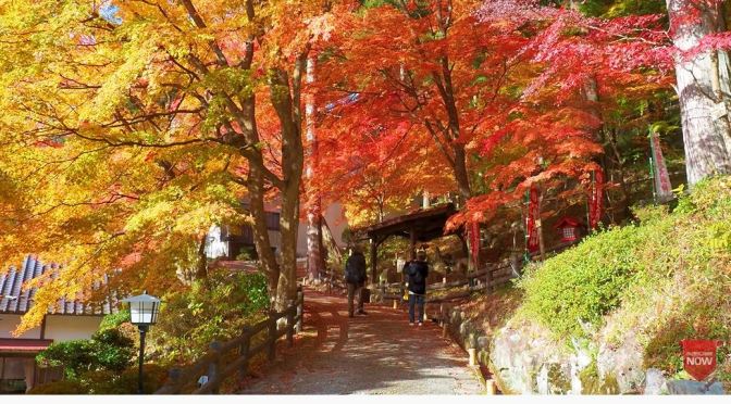 Autumn Views: Gero Onsen Hot Springs In Japan (4K)