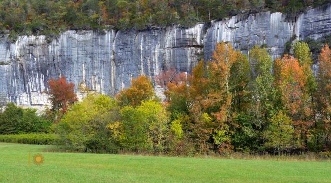 Nature: Buffalo National River, Northern Arkansas