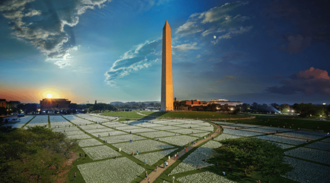 2021 In Review: National Geographic’s Top Images