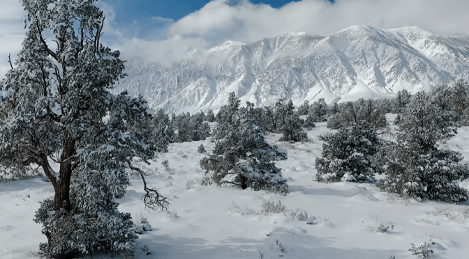 Landscape Views: ‘Soaring’ In American Northwest