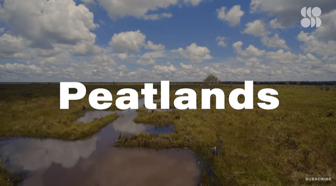 Ecology: Importance Of Peatlands In CO2 Capture