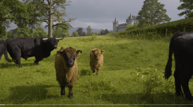 Food Tech: Scotland’s Meat Industry Diversifies