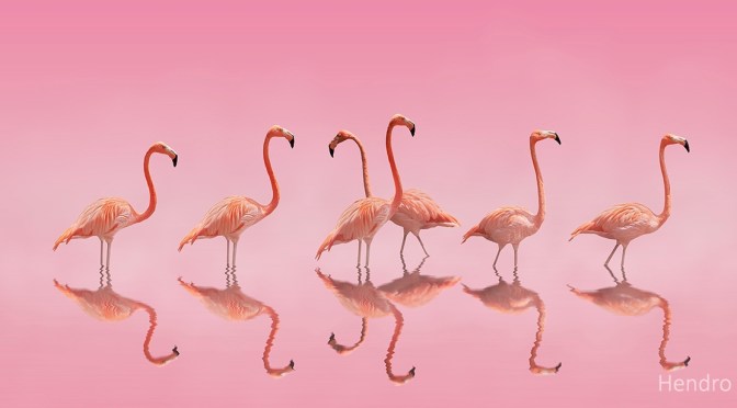 Nature Photography: The Art Of Hendro Soetrisno