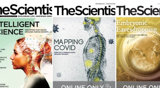 Research: The Scientist Magazine – Summer 2023