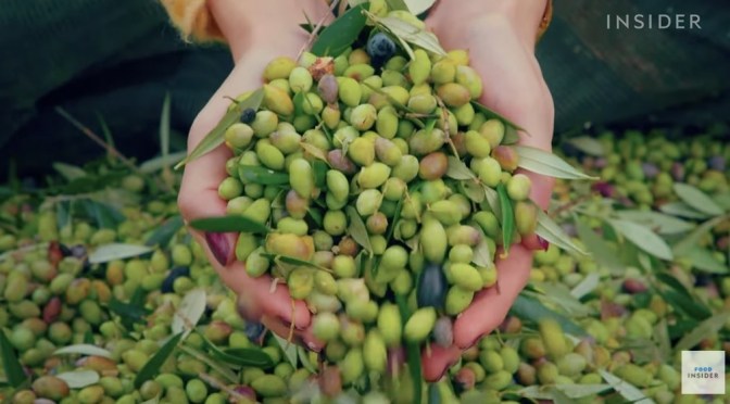 Greece Views: Extra-Virgin Olive Oil, Made In Messinia