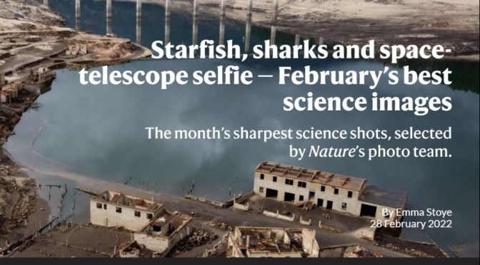 Views: Top Photographs From Nature Magazine