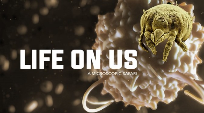 Microbes: A Microscopic View Of The Human Body