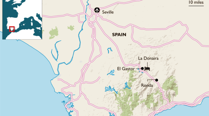 Top Cultural Road Trips: Seville To Ronda In Spain