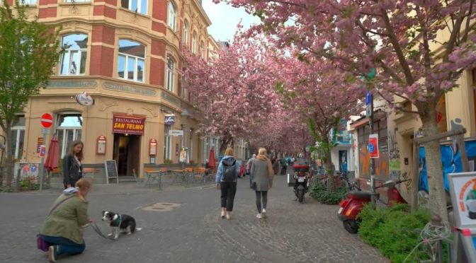 Spring Walks: Bonn In Western Germany (4K)