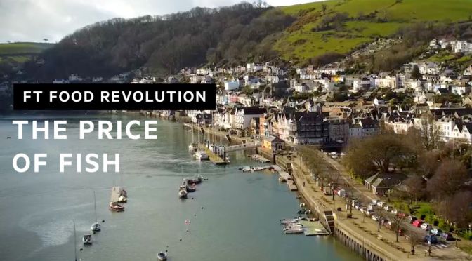Food: Sourcing Local Fish In Southwest England