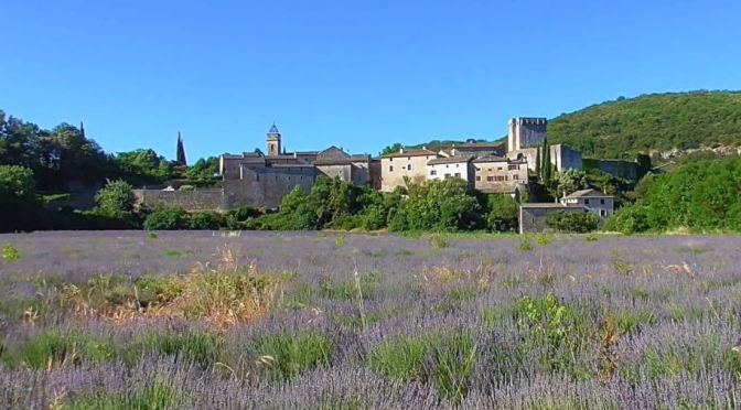 Views: The Lavender Fields Of Montclus, France