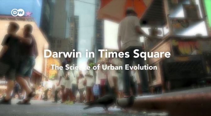 Evolution: How Nature Is Adapting To Urban Sprawl