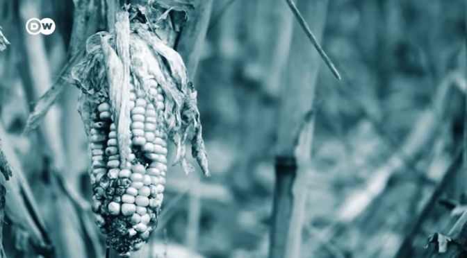 Droughts: Competing With Nature For Water