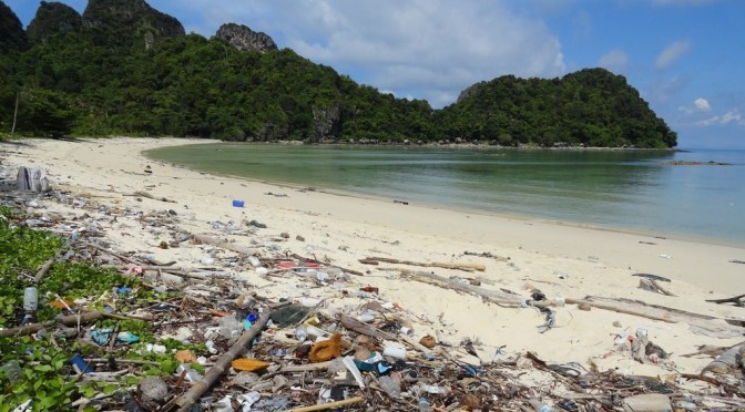 Ecosystems: Plastic Waste Spoils  Galapagos Islands