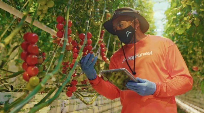 Indoor Farms: AppHarvest – 90% Less Water With Tech