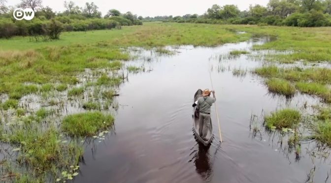Safari Travel: Okavango Delta By Boat In Botswana