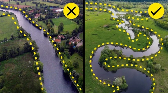 Restoration: How Rivers ‘Should Look’ In Nature