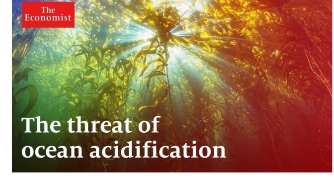 Climate Change: Threats Of Ocean Acidification