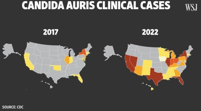 Public Health: The Rise Of The Deadly Fungi (WSJ)
