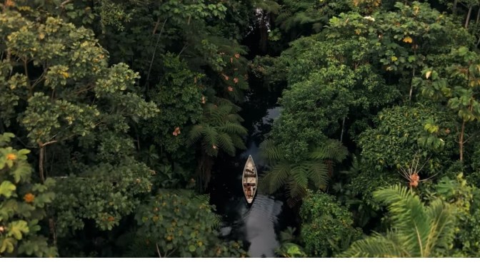 Travel Films: The Amazon Rainforest In Ecuador