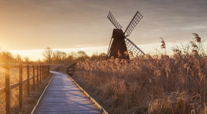 English Wetlands: Wicked Fen Nature Reserve Tour
