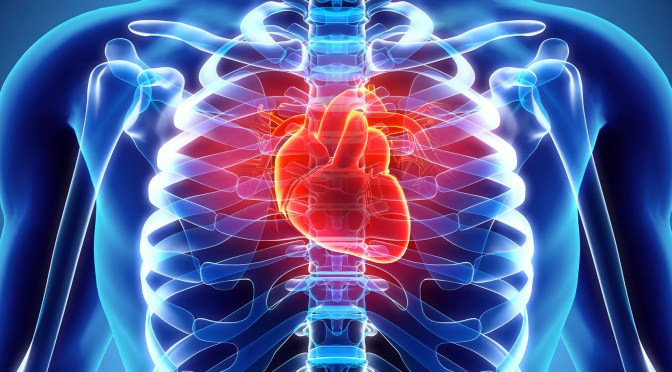 Cardiovascular Disease: Premature Death Risks