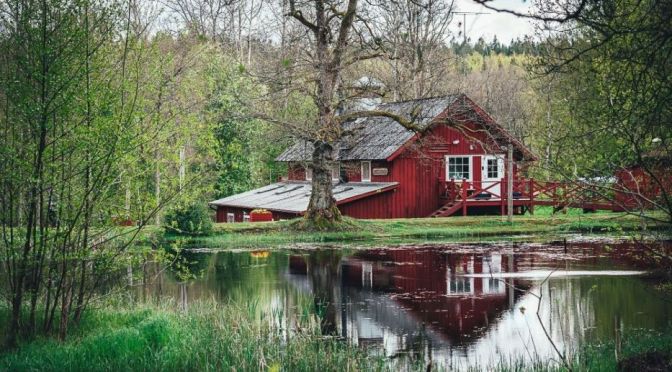Reviews: ‘Green Cuisine’ At Knystaforsen In Sweden