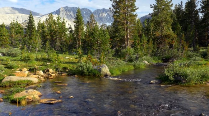 California Views: John Muir Wilderness Area