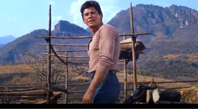 Reviews: The Best Charles Bronson Movies (MGM)