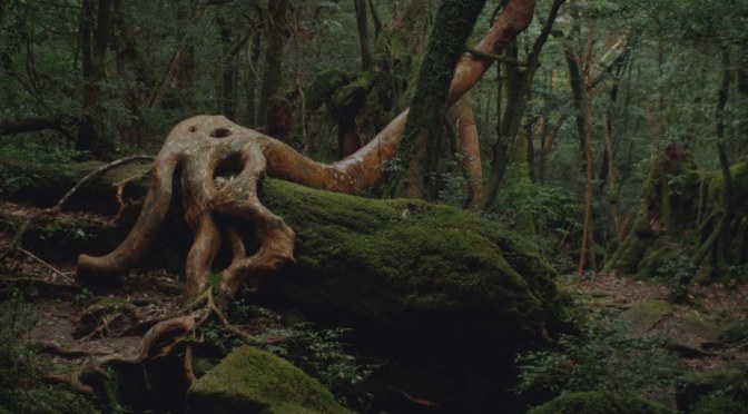 Cinematic Travel: Spirits of Yakushima Island, Japan