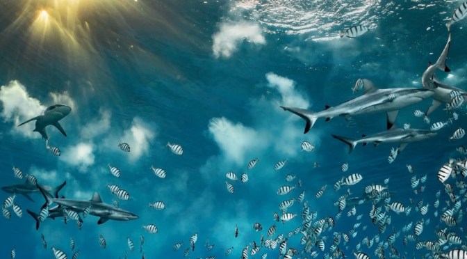 Wildlife Photographer Of The Year Winners (2023)