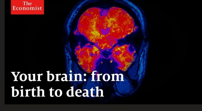 Research: What Happens To Your Brain As You Age